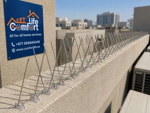 Bird Spikes Installation Service